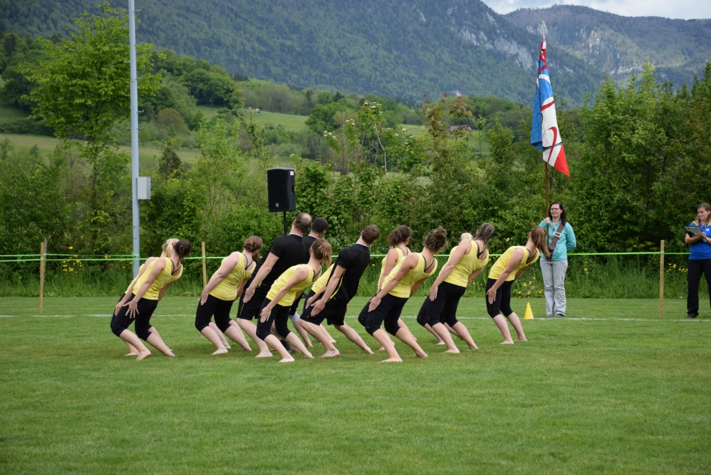 Bild (75)